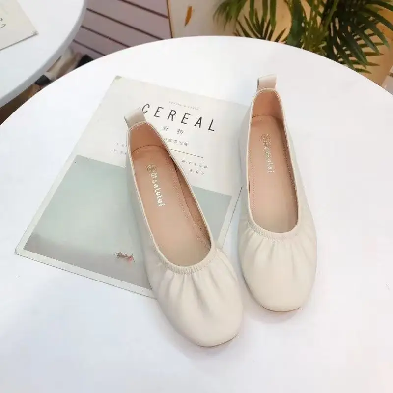 Women Shoes Quick Delivery - Koreaanse Stijl Dames Schoeisel Casual Dames