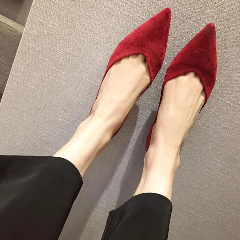 Puntige Teen Lage Hak Elegante - Women Shoes Quick Delivery recensie en prijs